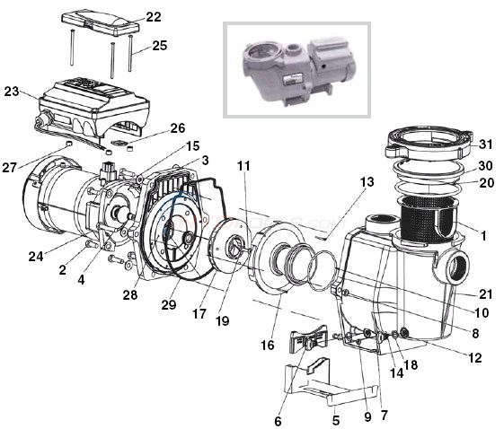 Pentair Intelliflo Parts List